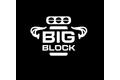 Kép 4/4 - BigBlock  Poló   M méret